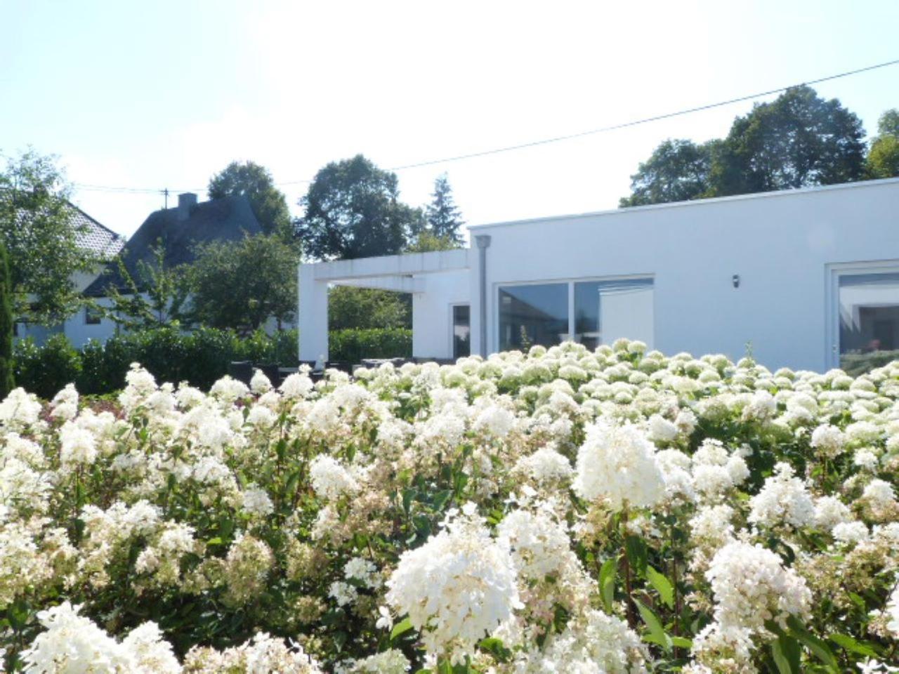 Villa Mosel 莫巴赫 外观 照片