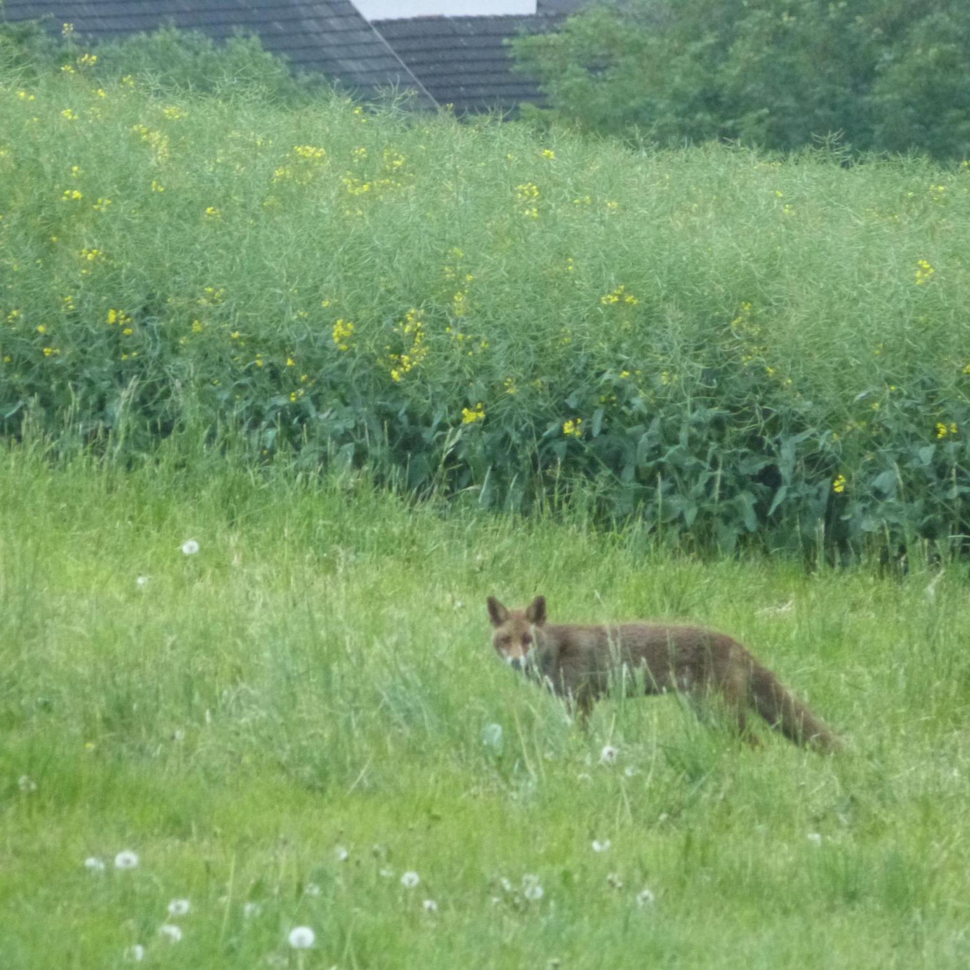 Villa Mosel 莫巴赫 外观 照片