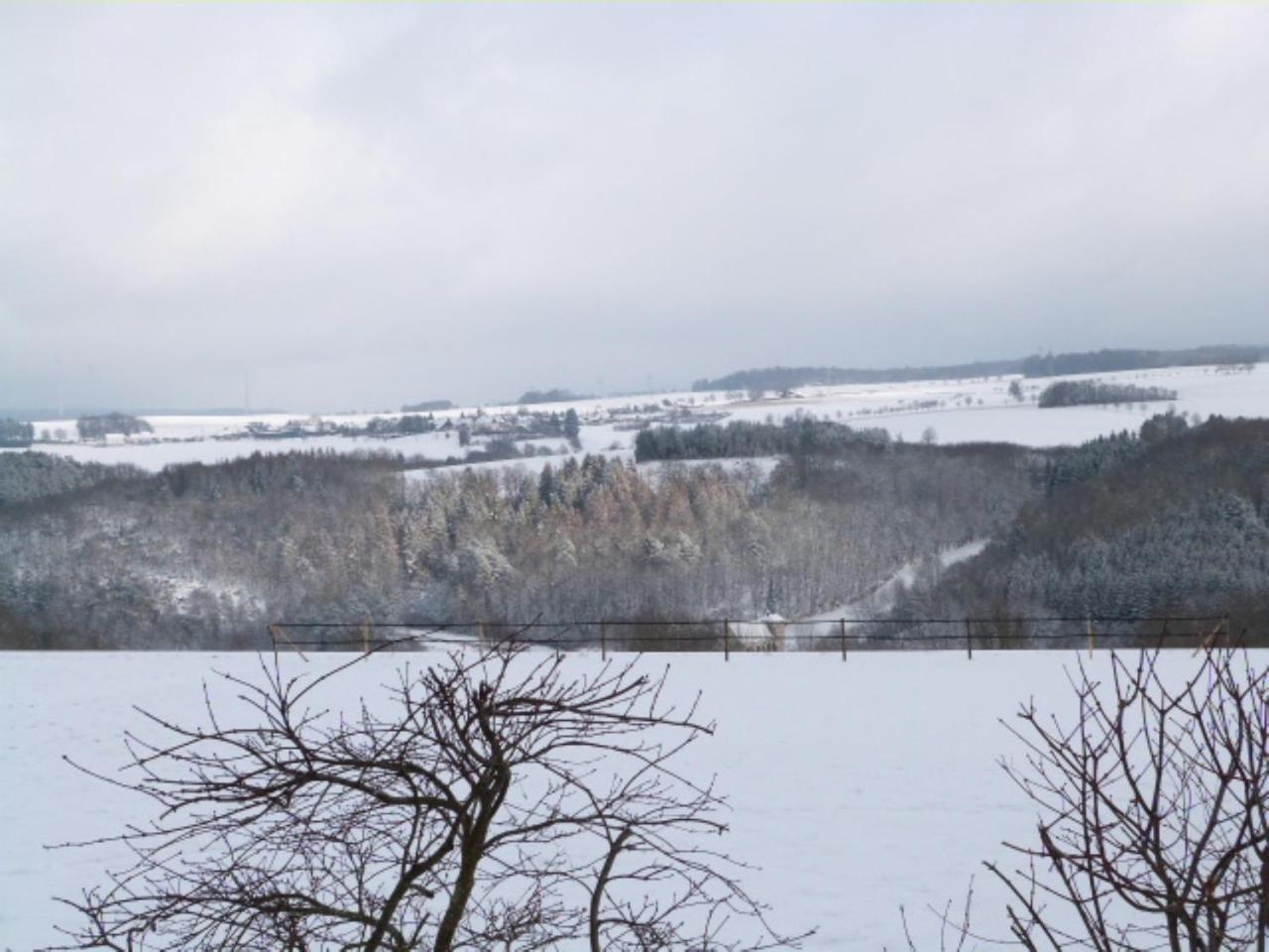 Villa Mosel 莫巴赫 外观 照片