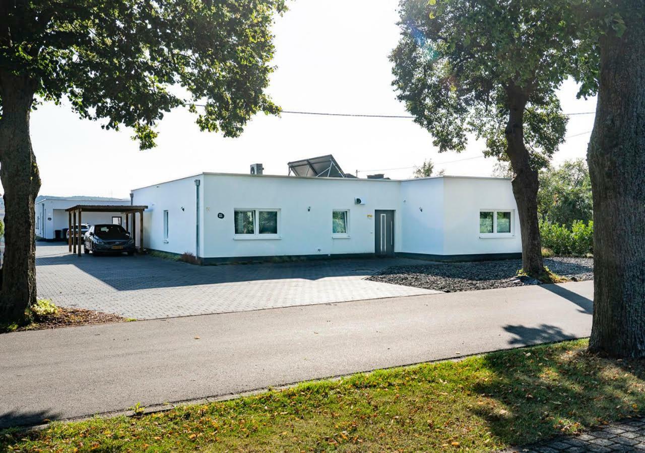 Villa Mosel 莫巴赫 外观 照片